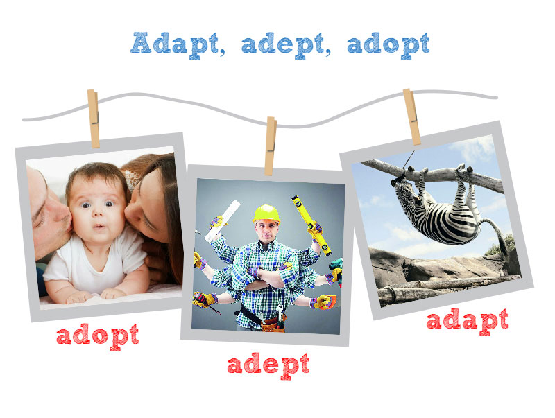adopt. adapt, adept
